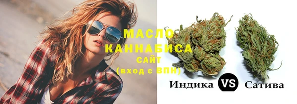 крисы Бронницы