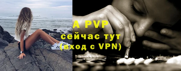крисы Бронницы