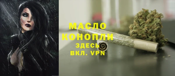 крисы Бронницы