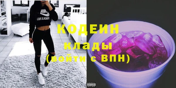 крисы Бронницы