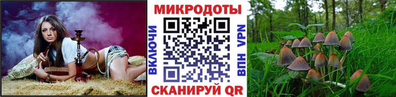Галлюциногенные грибы Cubensis  Крым 